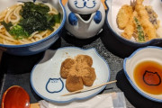 【悲報】ワシの今日のランチ