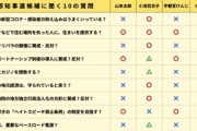 【悲報】小池百合子さん、「マルバツで答えろ」という質問に何故か△で答えてしまうww