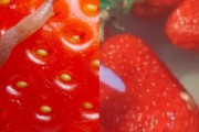 【画像】イチゴを塩水で洗ってないやつ、ガチでヤバいぞｗｗｗｗｗｗｗｗｗｗｗｗｗ