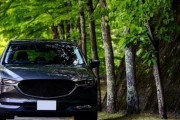 MAZDAの車乗ってるやつってさぁ