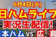 広島3連戦！【試合映像なくて困ってる人に届け！】