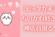 ビックカメラに神店員現る！『ちいかわ』本編に沿った売り場に「担当者が有能すぎますね」