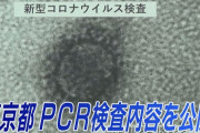 【悲報】保健所に勤めてる友だちがマジ過労死しそうなんだが。。。この4月は一日も・・・