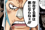 【悲報】ワンピースさん、物語の根幹に関わる矛盾が見つかってしまうｗｗｗｗｗ