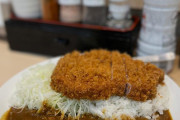 【画像】間違いないタイプのカツカレー