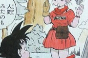 【衝撃】ドラゴンボールで「普通の作者ならこうしてそう」って展開と言えば？？？