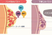 【風船みたいにしぼんだ】卒乳後のバストケアどんなことしてる？