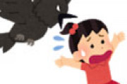 【画像】 Twitter民「偶然カラスが家までついてきました」 ⇒ 承認欲求のためカラスの雛を誘拐した疑惑勃発で炎上