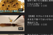 【訃報画像】登録者160万YouTuber、終わる