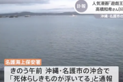 死亡した遊戯王作者さん、サメに内蔵と下半身を食べられていた…