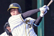 阪神２位井上「結果は気にせずに自分のタイミングで自分のスイングをする。」４番デビューで適時打