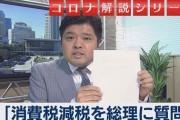 【コロナ経済対策】テレ東「消費税減税について書面で総理に質問してみた」官邸キャップが解説（動画）