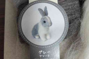 羊毛フェルト初挑戦、うさぎ作るぞ→あれ？呪われた生物が爆誕　ネット苦笑「か、かわいいよ」