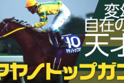 マヤノトップガンっていい馬だったよな