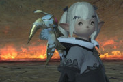 【FF14】とあるユーザーさんの理想のヒラ「痛かったでちゅね～よしよしって優しく回復してくれる」現実は「リジェネで放置」