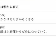 辻元清美「鯛は頭から腐る」魚屋社長「魚はなぁ、腹から腐るンだよっ??オツムが腐ってンのはてめぇだ」←ロシアのことわざやぞ