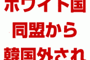 【画像】ホワイト国同盟から外されて1人ぼっちの韓国をご覧ください