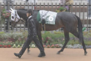 【競馬予想】第30回エルムステークス(GⅢ) /2025