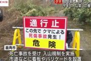 クマ、人間を「食べ物」と認識して攻撃　[5/23]