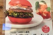 【画像】モスバーガーさんこれじゃないだろっていうバーガーを作ってしまうｗｗｗｗｗｗｗｗｗ