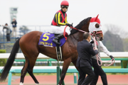 【競馬】超良血馬ラングレーがサラブレッドオークションに出品されてしまう