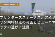 スプリンターズステークス、アイサンサン内枠好走の可否とピューロマジックの逃げに注目
