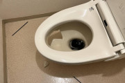 便器ブチ割れたんだけどどーすんのこれ…