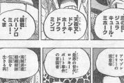 【悲報】王下七武海さん、結局最初に出てきたミホークが最強のまま解散するｗｗｗｗｗ