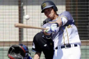 阪神井上が初マルチ、佐藤輝明が刺激に「なります」