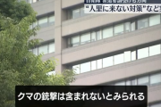 国「クマ対策に自衛隊を派遣してやってもいいが、銃は使わせないよ」