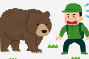 【動画】日テレさん、誰でも理解できるクマ被害の動画を作ってしまう?