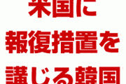 韓国政府、米国に報復措置を講じる「在韓米軍の土地を返せ！」　何様のつもりだよ…