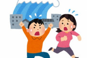 【悲報】岩手県民、トンガ噴火の津波警報で避難した人の割合4%