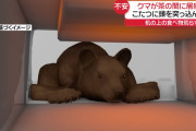 クマ「コタツあったけぇ～」→吹き矢を撃たれ人気のない山に放たれる
