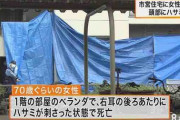 頭にハサミ刺さった女性遺体、死因は熱中症