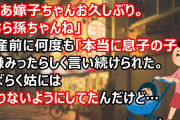 「ああ嫁子ちゃんお久しぶり。こちら孫ちゃんね」出産前に何度も「本当に息子の子？」と嫌みったらしく言い続けられた。しばらく姑には会わないようにしてたんだけど…