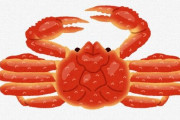 【悲報】カニ飲食店がガチで悲鳴、「カニ食べいこうって人が減っている」