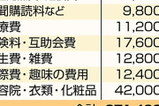 【画像】70代独身女性、年金だけでどう生活すれば・・・