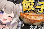【ネオポルテ】ニウちゃんの餃子、ちょっと小癪やないか？