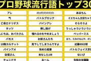 プロ野球流行語トップ30、ある1球団に偏りが酷いｗｗｗ
