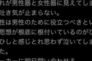 【悲報】フェミニストさん「鉛筆と鉛筆削りを見て吐き気が止まらない」