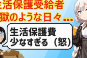 【炎上】YouTuber(登録者10万人)「生活保護の苦しみ想像しながら冷えた部屋でコーラ飲むの美味すぎｗ」