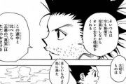 【疑問】「日本で1番面白い少年漫画」ってジンと会うまでのHUNTER×HUNTERに間違いないｗｗｗ