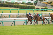 【朗報】JRA、全てのレースを無料ライブ配信　23年3月から