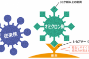 【朗報】日本人さん、オミクロン株に感染しない「新人類」だったｗｗｗｗｗｗｗｗｗｗｗｗｗｗｗ