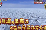 【悲報】日本人の96.3%、北海道の流氷がどこから流れてくるか知らない