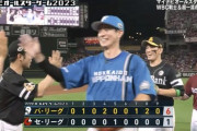 【祝勝会】パ・リーグファン集合【連勝】