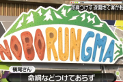 家族連れのお父さん、那須ハイランドパークで5mの高さの遊具から落ちて死亡