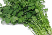 【謎】パクチーが流行った理由、ガチのマジで分からないｗｗｗｗｗｗｗｗ