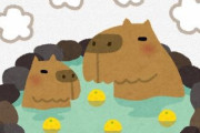 カピバラ「ゆず湯」、日本の冬至の風物詩として定着する　